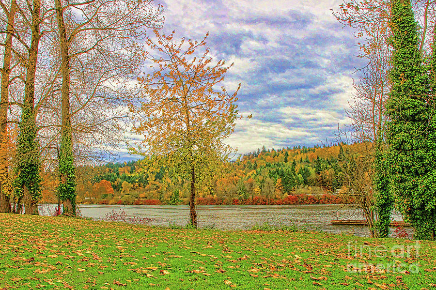 Autumn Along The Willamette Photograph By Brenton Cooper   Fine Art America