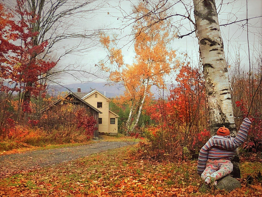 Autumn and Halloweeen Festivity in Vermont Photograph by Nancy Griswold