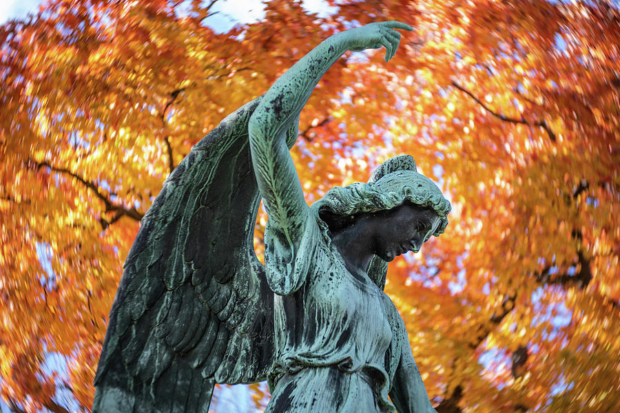Autumn Angel Photograph by Kimberly Mackowski