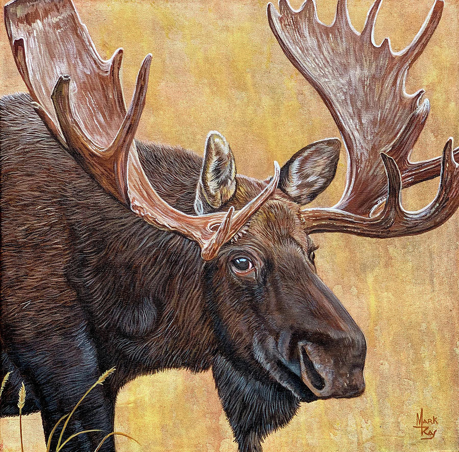 Autumn Antlers Painting by Mark Ray