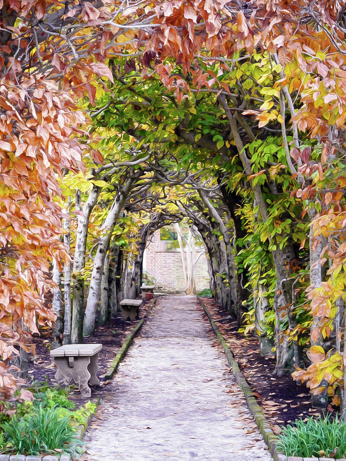 Autumn Arbor - Oil Painting Style Photograph by Rachel Morrison