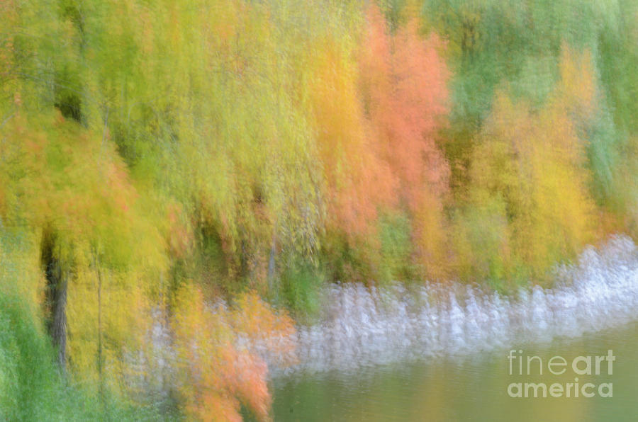 Autumn Array Of Color Photograph by Tamara Becker