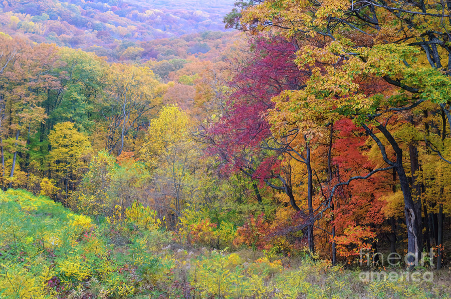 Fall Photograph - Autumn Arrives in Brown County - D010020 by Daniel Dempster