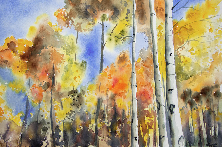 Watercolor - Autumn Aspen in Colorado Painting by Cascade Colors