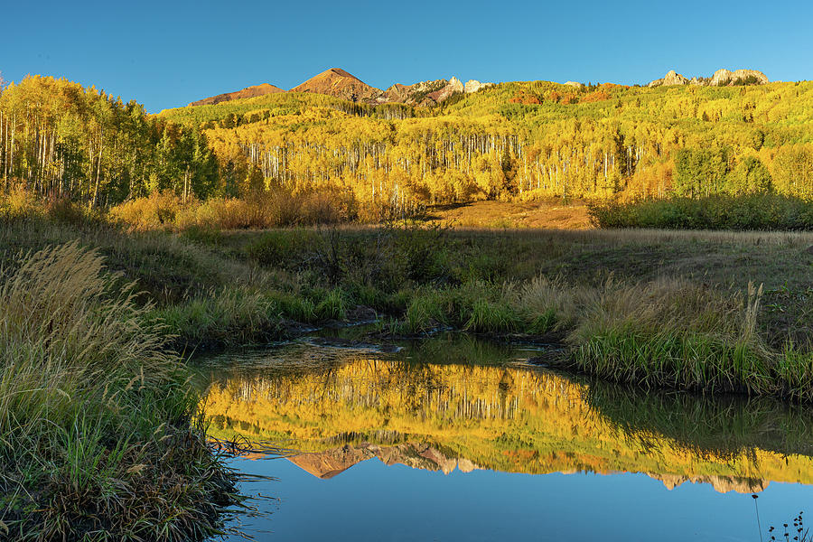Autumn Aspen Reflection Photograph by Ron Long Ltd Photography