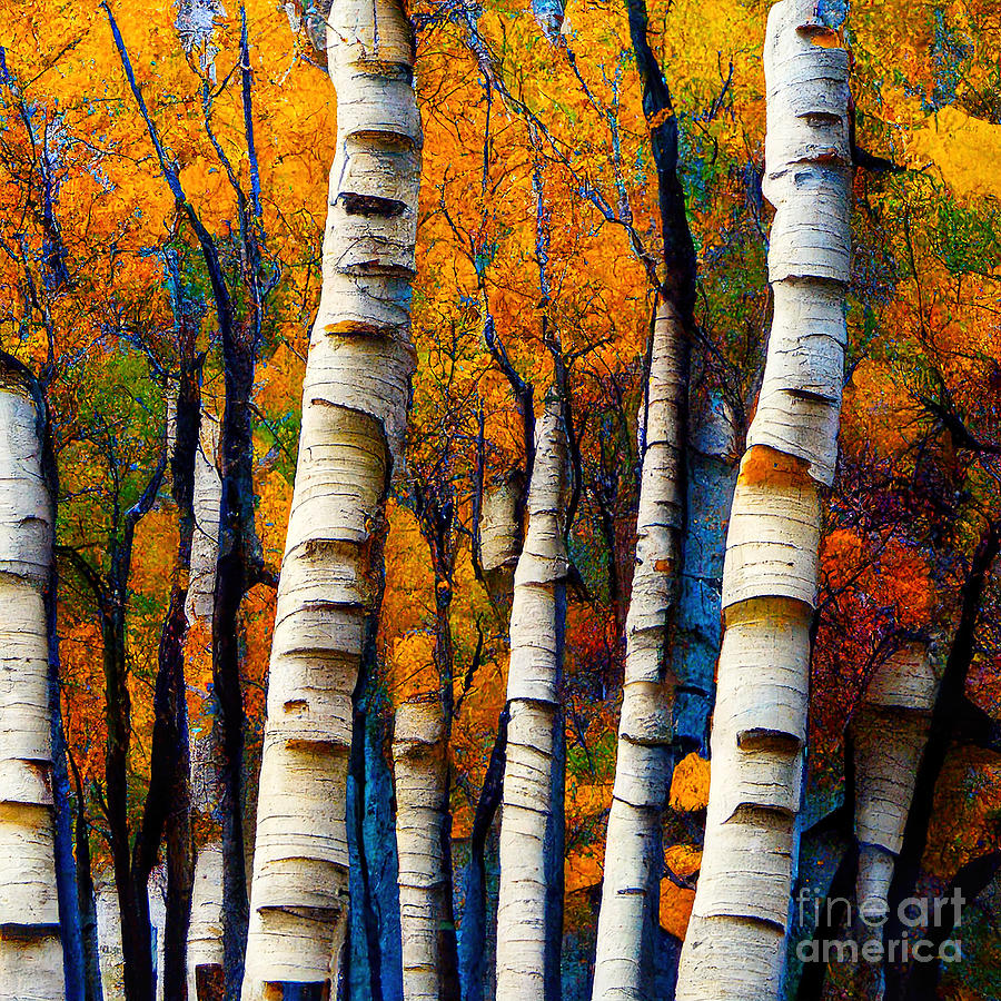 Autumn Aspen Trees Mixed Media by John DeGaetano