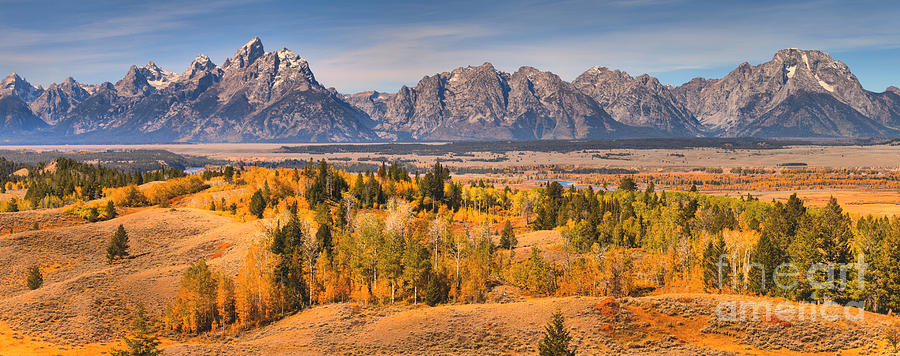 Autumn Aspens In The Teton Valley Photograph by Adam Jewell