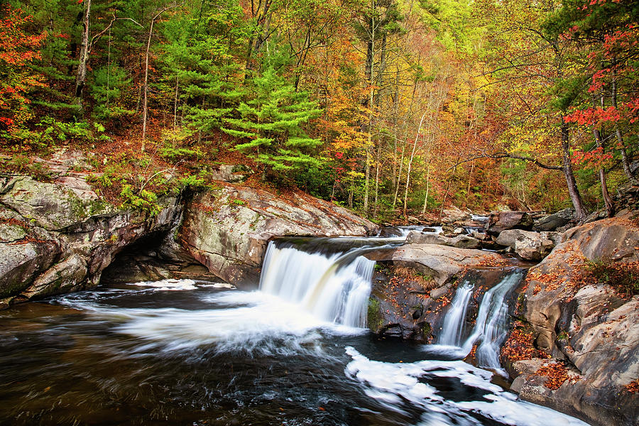 Autumn at Baby Falls Photograph by Andy Crawford