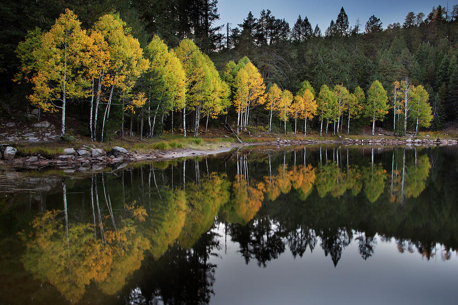 Autumn at Bear Canyon Lake, Arizona Photograph by Dave Wilson - Fine ...