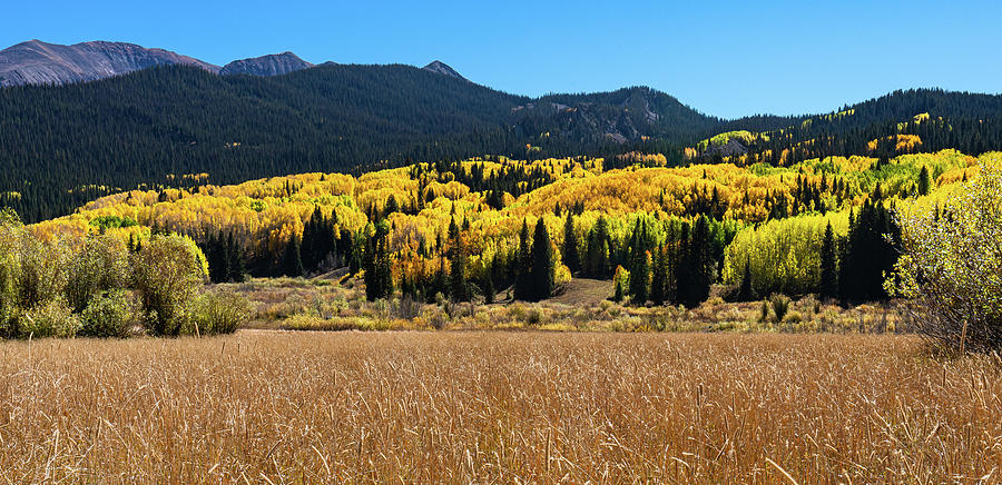 Autumn at Beckwith Pass Photograph by Ron Long Ltd Photography