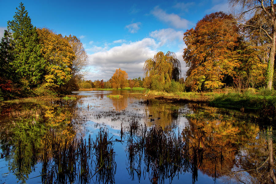 Autumn at Birr Castle, Co. Offaly, Ireland Photograph by Chris Hill ...