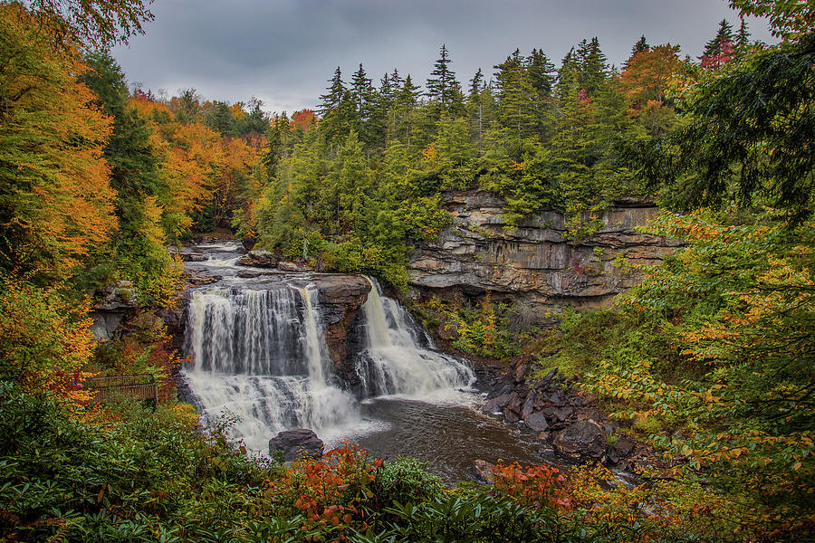 Autumn at Blackwater Falls Photograph by Jordan Lacoste - Fine Art America