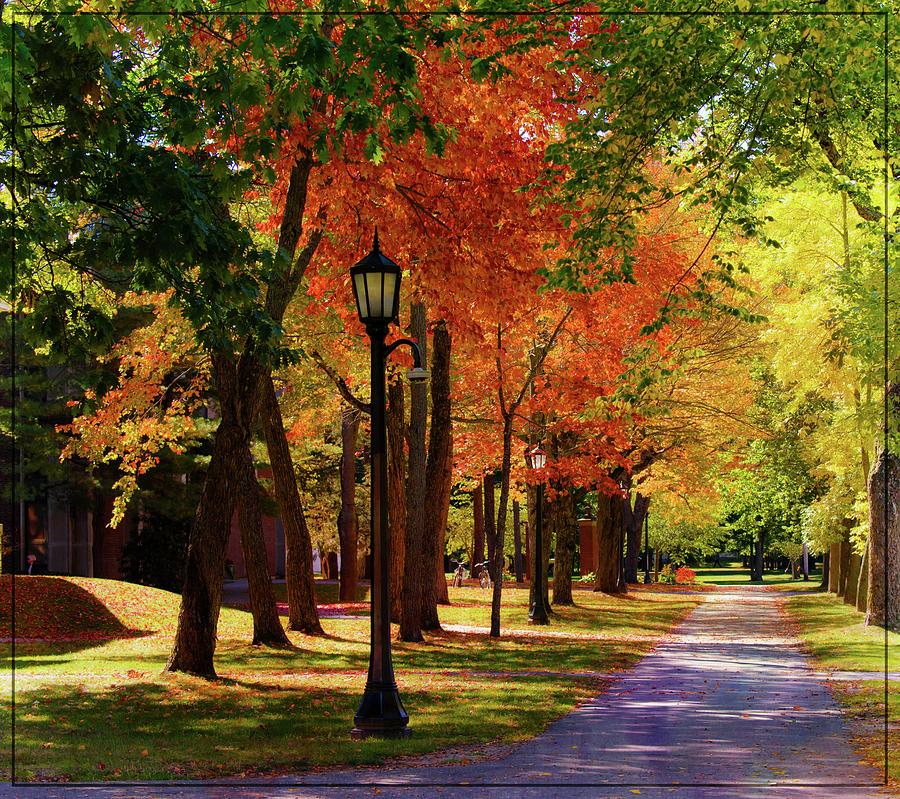 Fall Photograph - Autumn At Bowdoin College by Sherman Perry