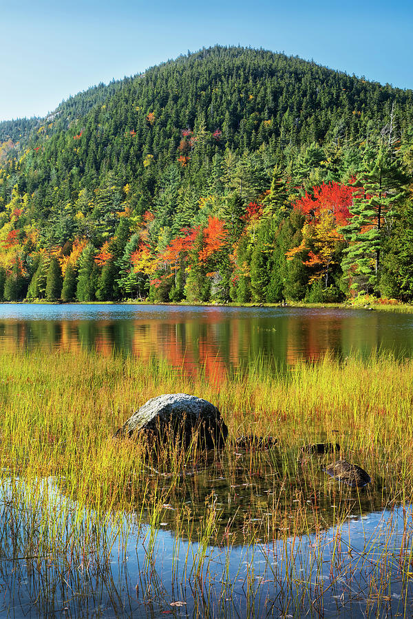 Acadia National Park Photograph - Autumn at Bubble Pond 34A3818 by Greg Hartford