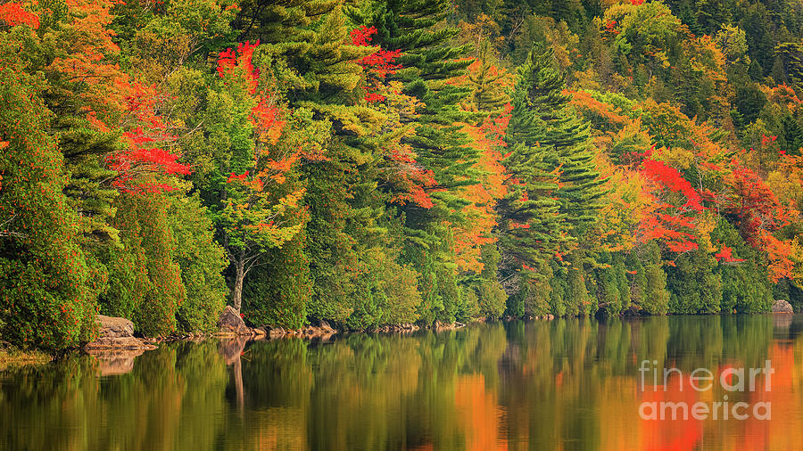 Autumn At Bubble Pond In Acadia National Park Photograph