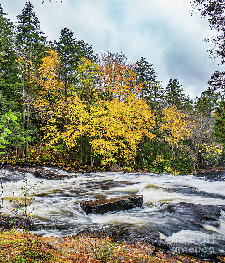 Autumn at Buttermilk Falls Photograph by Ron Long Ltd Photography