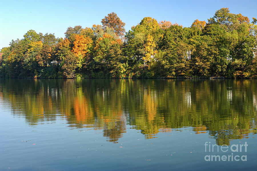 Autumn at Cayuga Lake Photograph by Bob Phillips