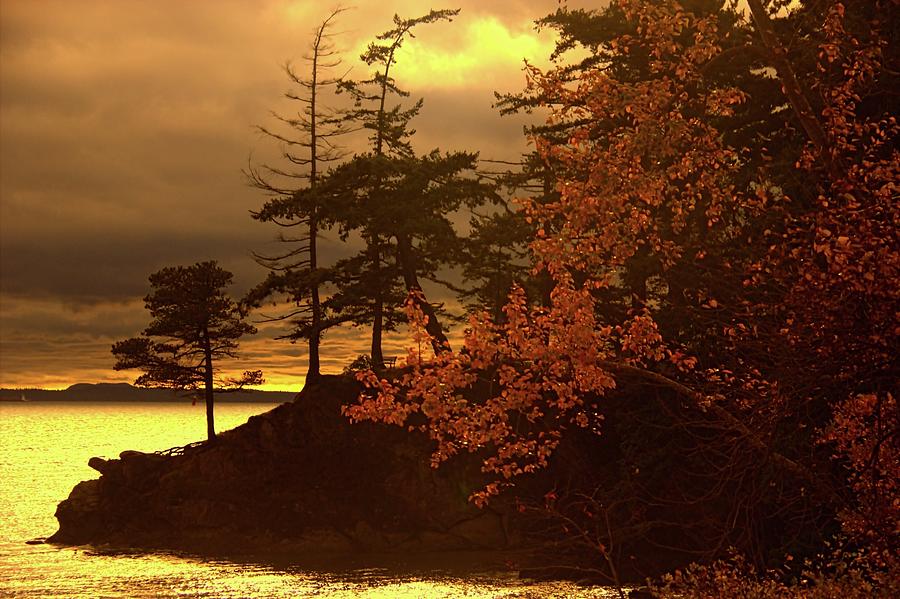 Autumn at Chuckanut Point Photograph by Vernon Platt - Fine Art America