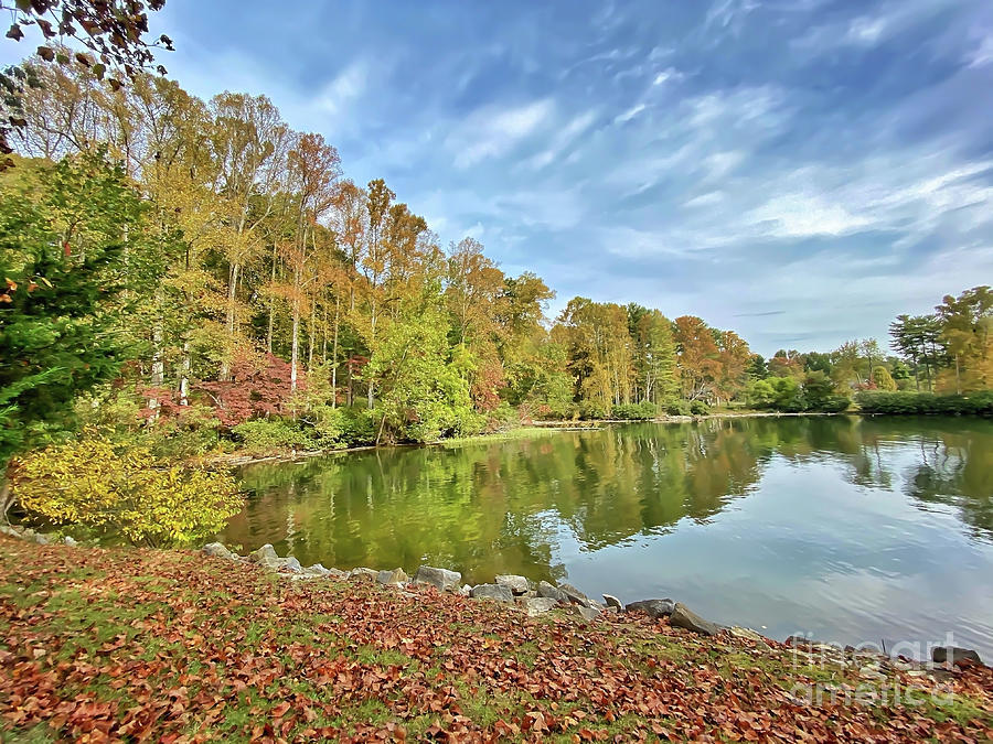 Autumn at Claytor Lake State Park Photograph by Kerri Farley