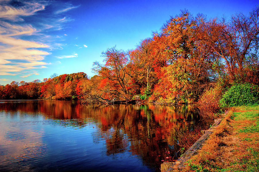 Autumn at Coursey Pond In Frederica Photograph by Bill Swartwout