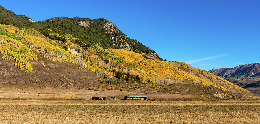 Autumn at Crested Butte Mountain Photograph by Ron Long Ltd Photography