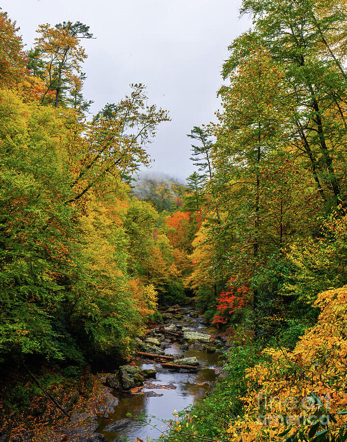 Autumn at Cullasaja River Photograph by Ron Long Ltd Photography
