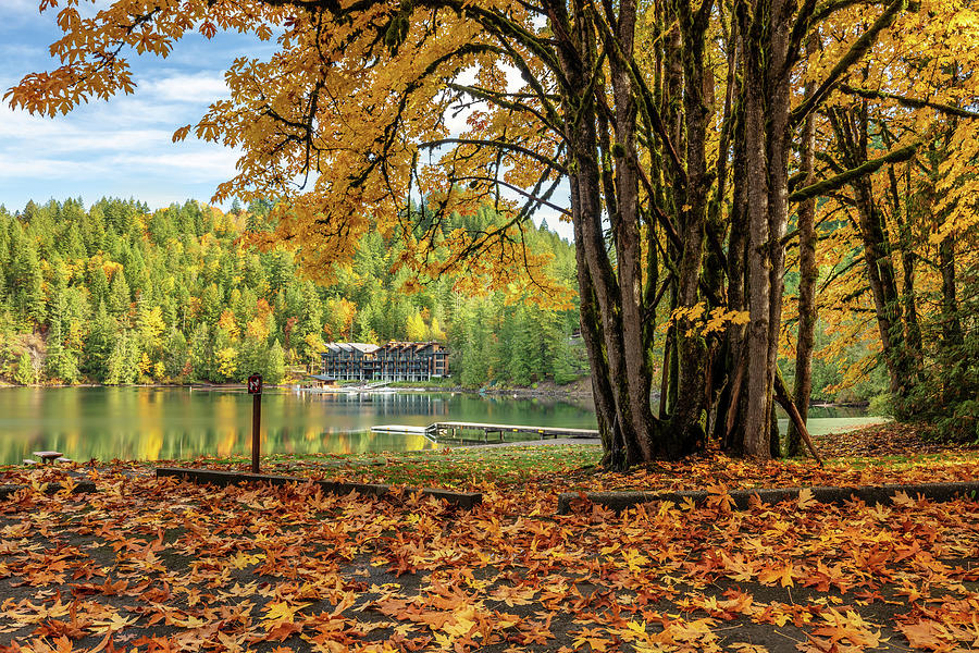 Autumn at Cultus Lake Photograph by Pierre Leclerc Photography