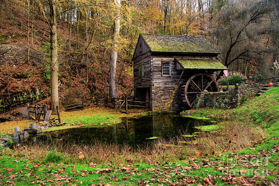 Autumn at Cuttalossa Photograph by Debra Fedchin