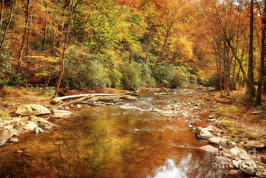 Autumn At Deep Creek, Great Smoky Mountains Photograph by Felix Lai