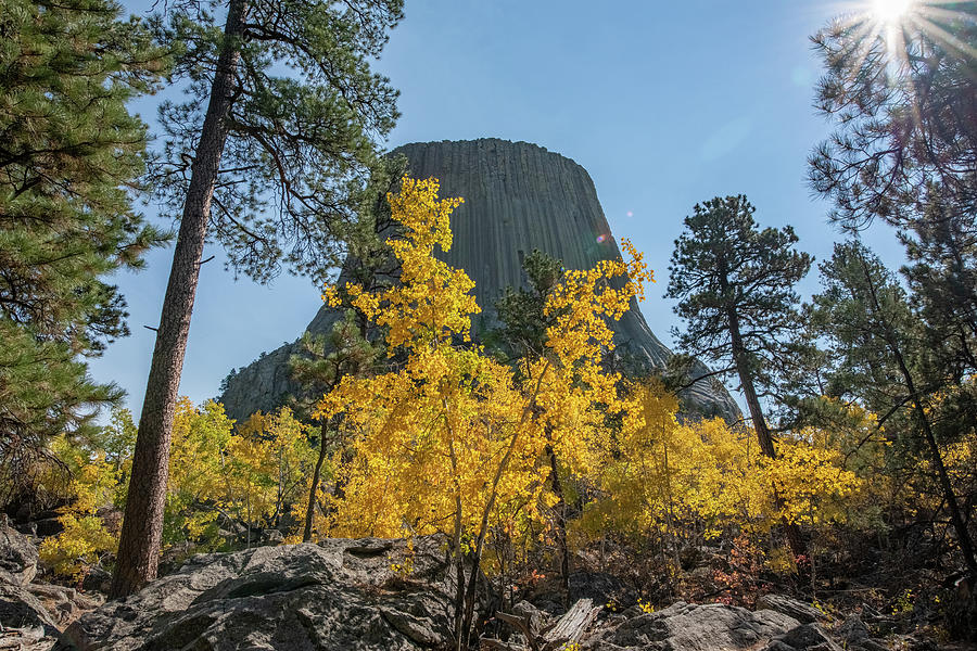 Autumn at Devils Tower Photograph by Mark Duehmig