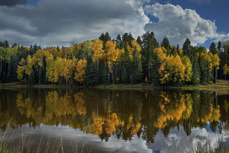 Autumn at Drift Fence Lake, Arizona Photograph by Dave Wilson - Fine ...