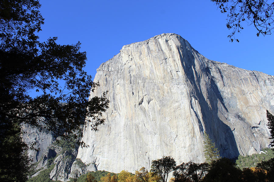 Autumn At El Capitan Photograph by Eric Forster