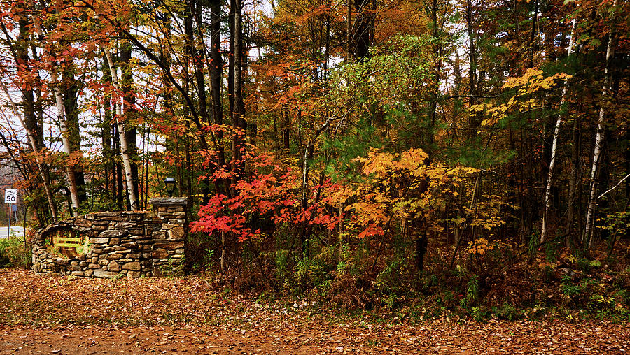 Fall Photograph - Autumn at Esaus Heel. Becket, Massachusetts by TL Mair