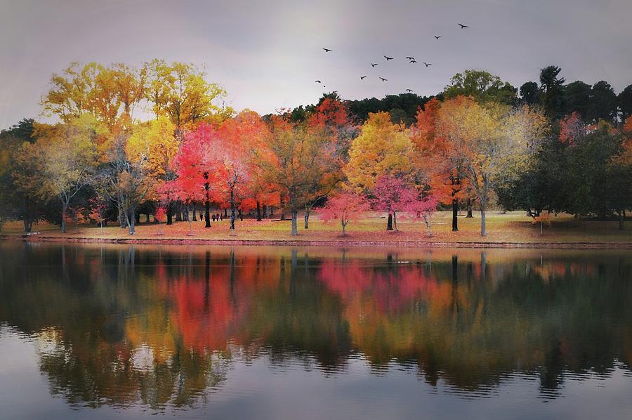 Autumn at Furman Photograph by Diana Angstadt