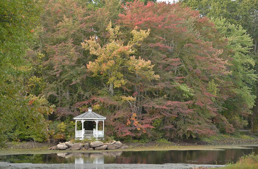 Autumn at Ice House Pond Photograph by Deborah Hochhauser Fine Art