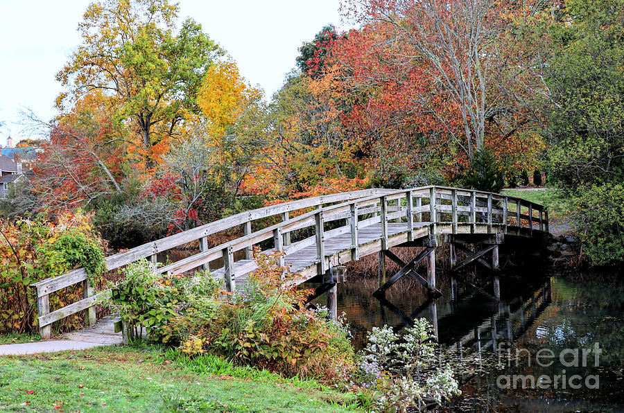 Fall Photograph - Autumn at Jenney Pond 2023  by Janice Drew
