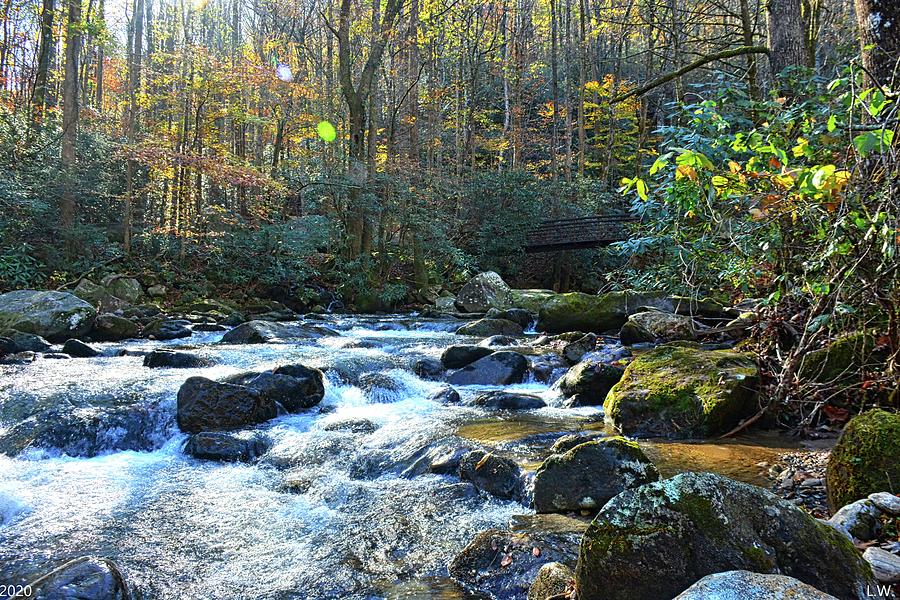 Autumn At Jones Gap State Park Greenville South Carolina Photograph by Lisa Wooten