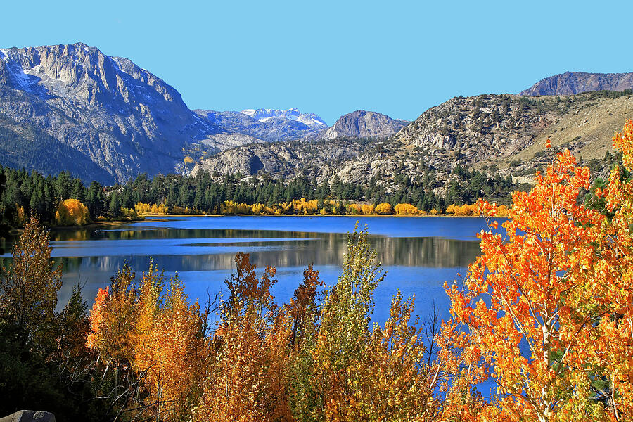 Autumn At June Lake Photograph by Donna Kennedy