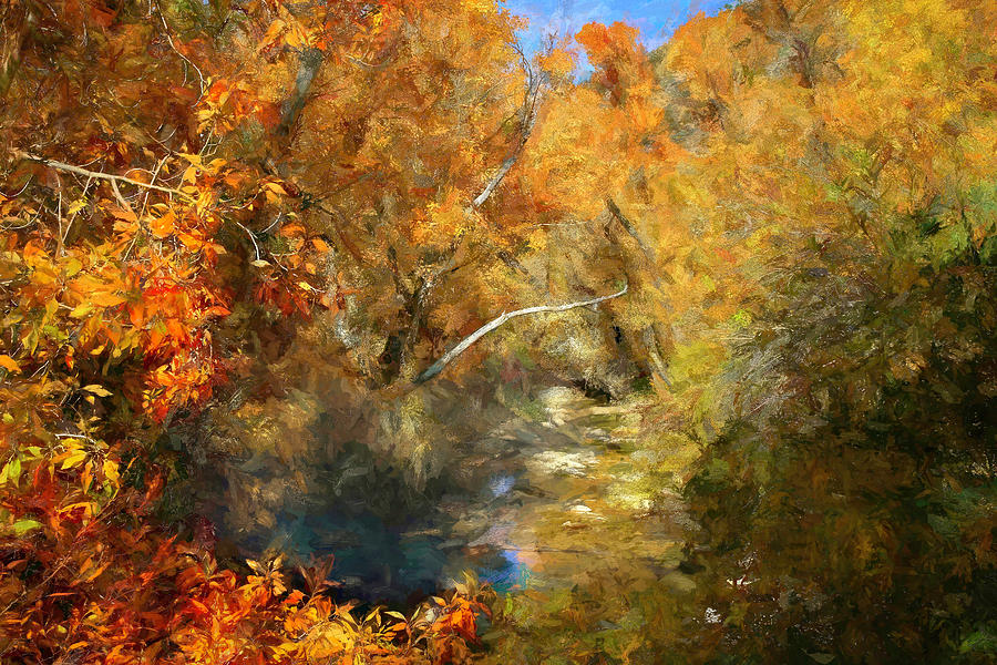 Autumn at Lamoille Creek Photograph by Donna Kennedy