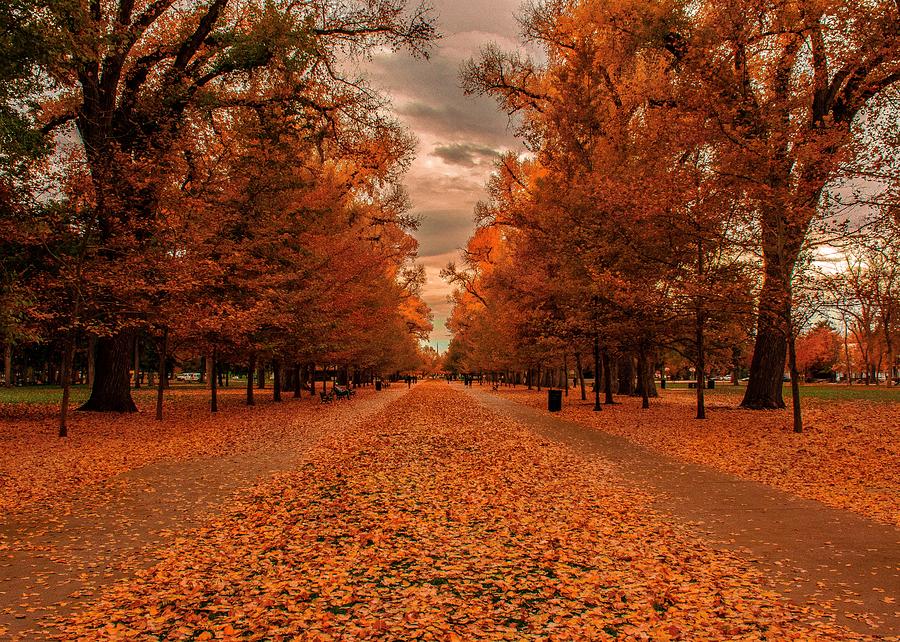 Autumn At Liberty Park Photograph by Len Bomba