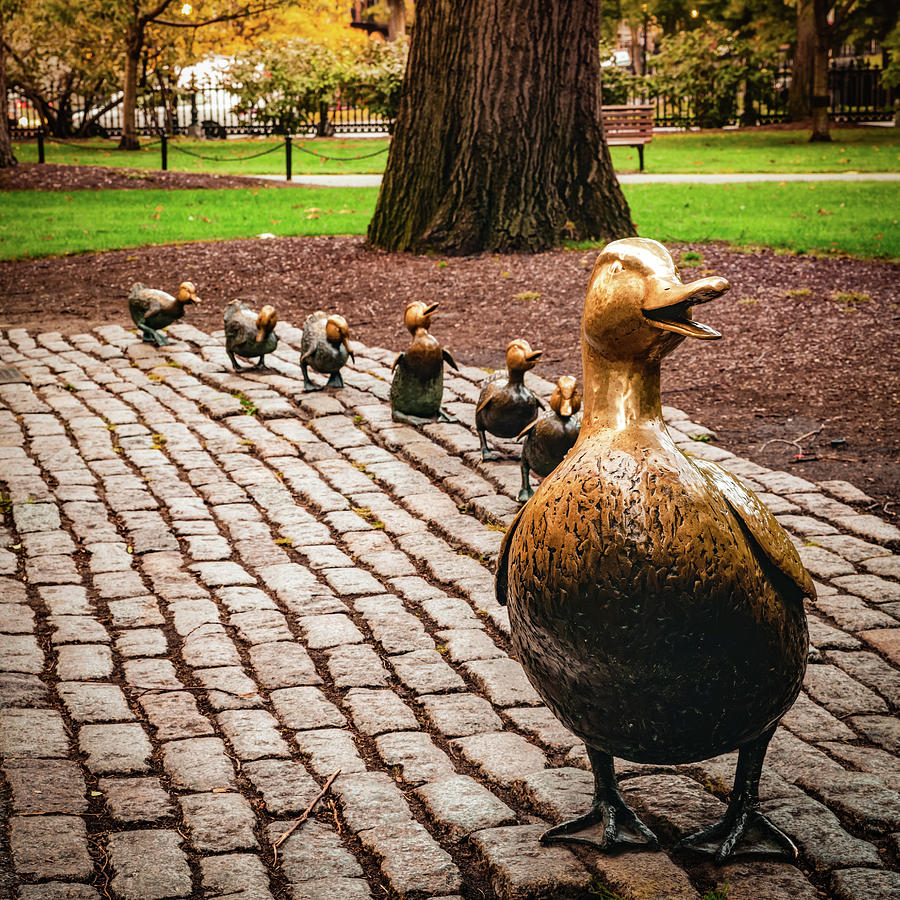 Boston Public Garden Photograph - Autumn at Make Way For Ducklings - Boston Massachusetts 1x1 by Gregory Ballos