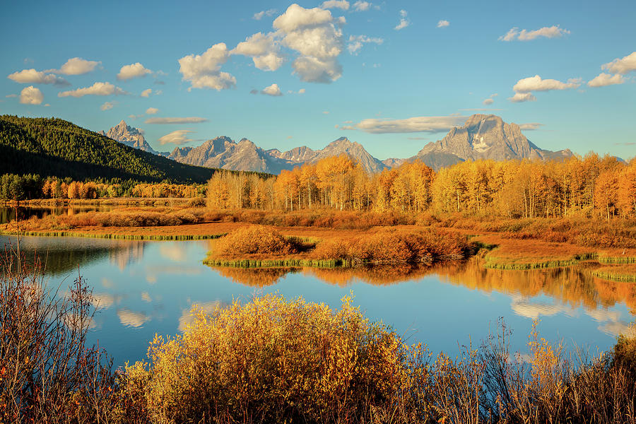 Autumn at Oxbow Bend Photograph by Jack Bell