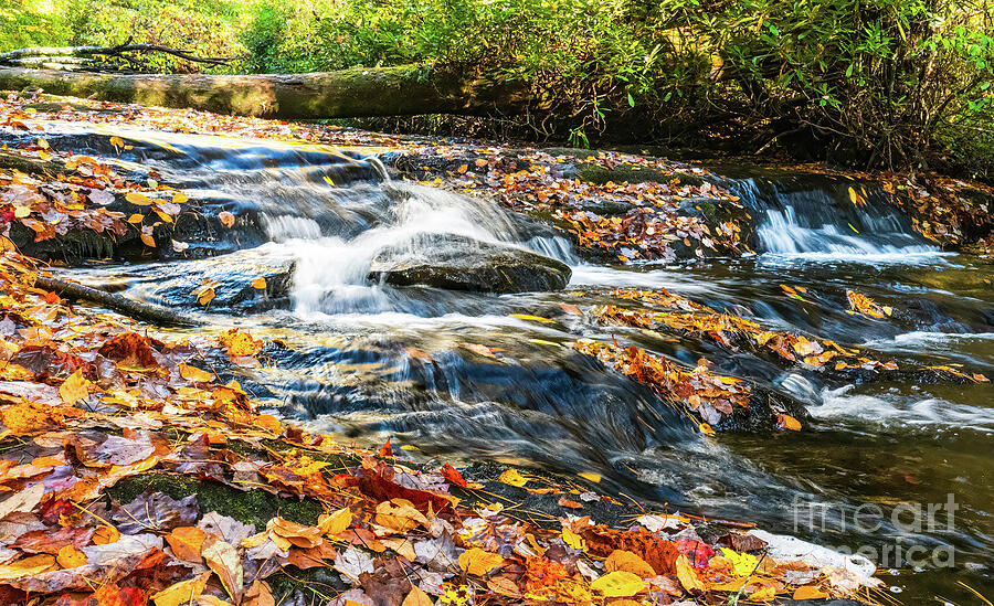 Autumn at Pinky Falls Photograph by Ron Long Ltd Photography