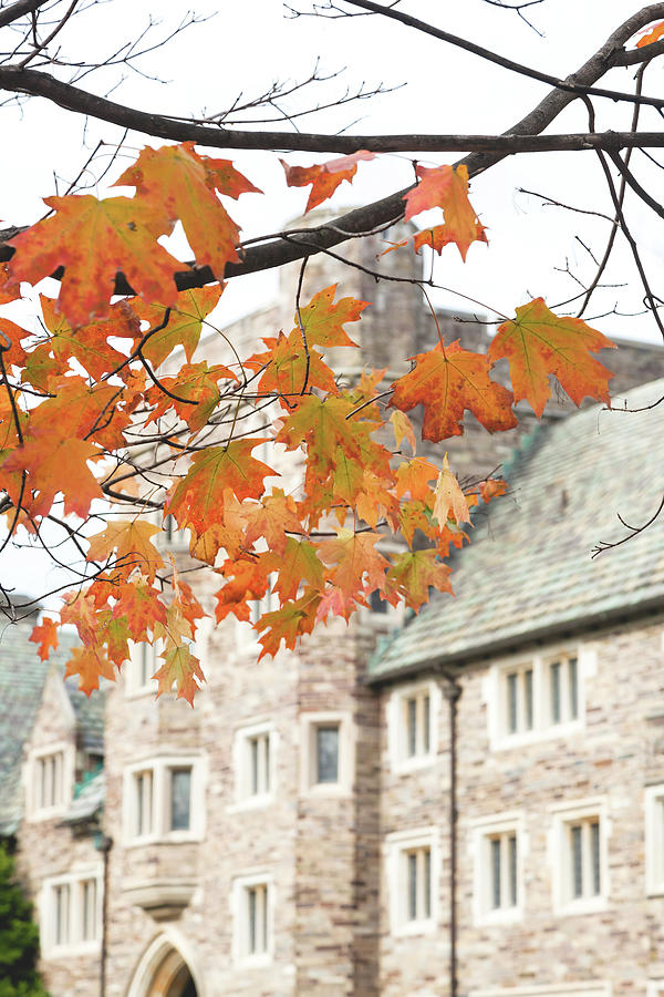 Autumn at Princeton University Photograph by Erin Cadigan