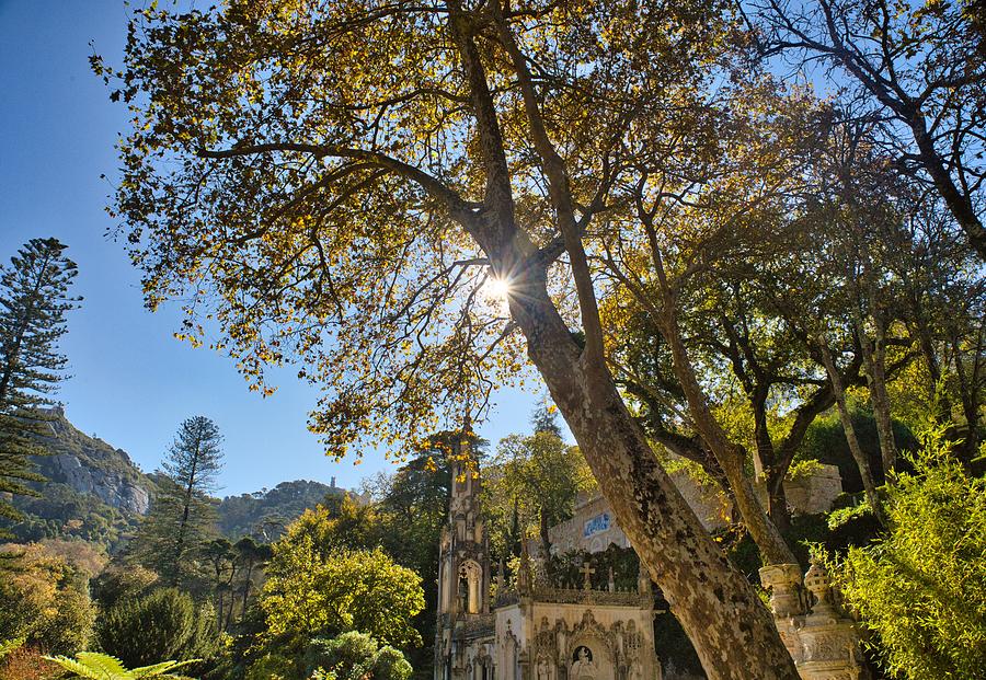 Castle Photograph - Autumn at Quinta da Regaleira by Kerri Batrowny