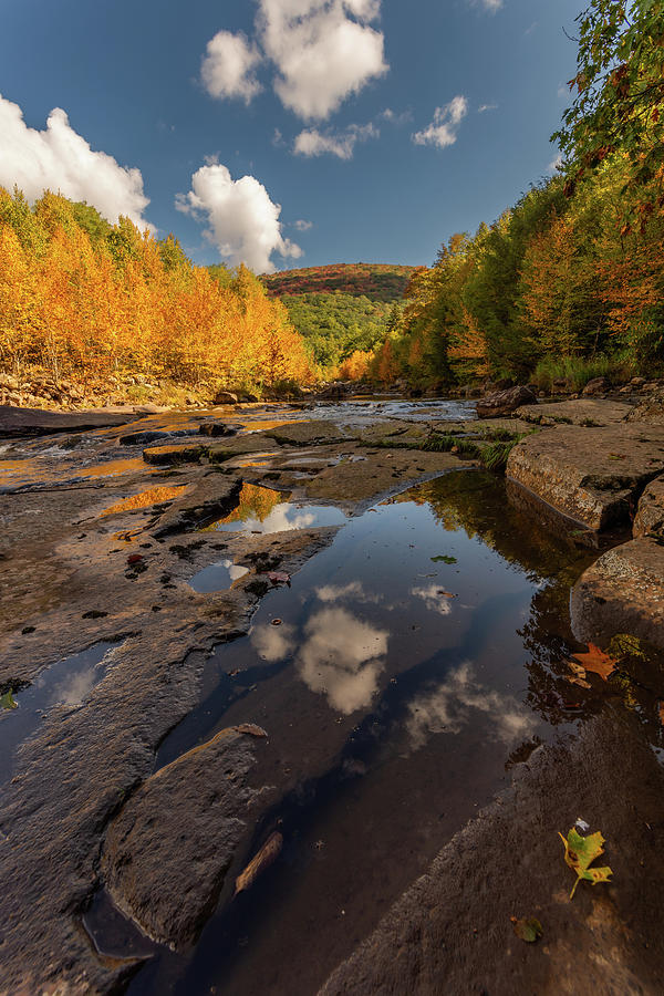 Autumn at Red Creek Photograph by Jason Funk