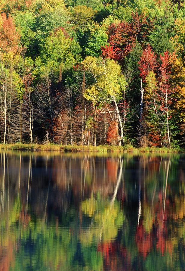 Autumn at Red Jack Lake Photograph by James C Richardson