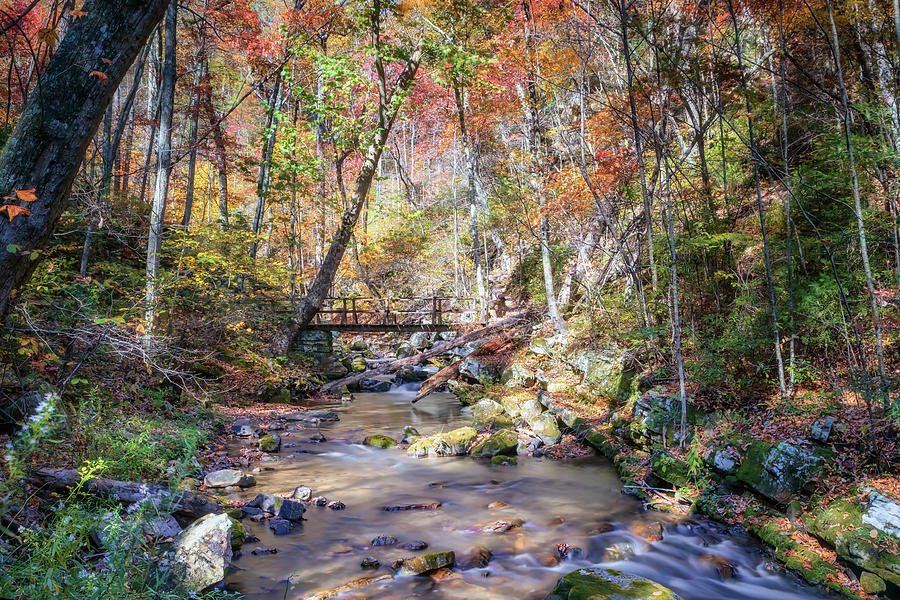 Autumn at Roaring Run Creek Photograph by Susan Rissi Tregoning