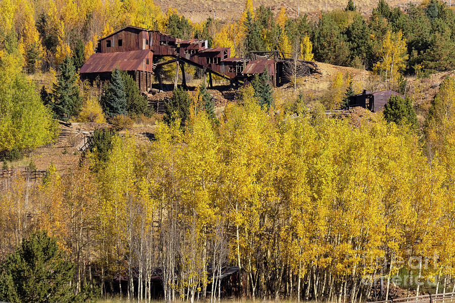 Autumn at the Gold Mine Photograph by Steven Krull