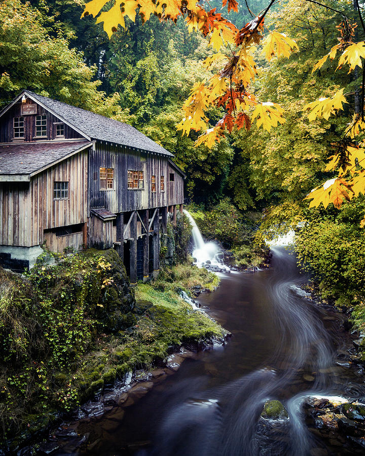 Autumn at the Grist Mill Photograph by Nicole Young